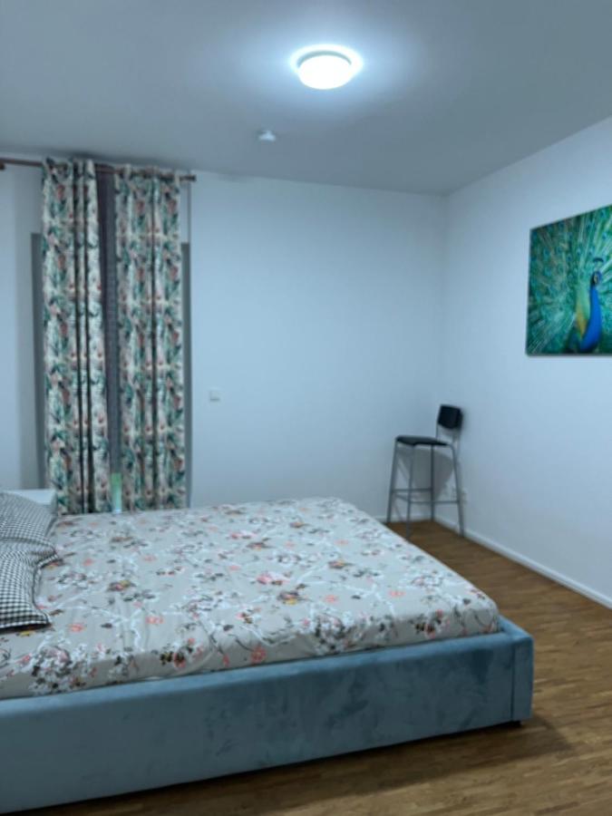 Three Bedroom Apartment In City Centre With A Grand Garden Frankfurt am Main Ngoại thất bức ảnh